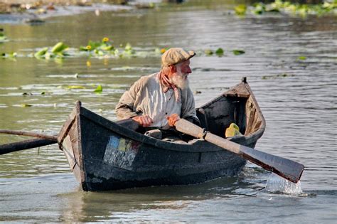 Obiective Turistice Delta Dunarii - ashjas