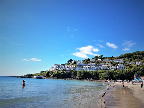 Looe beach - life out the hive