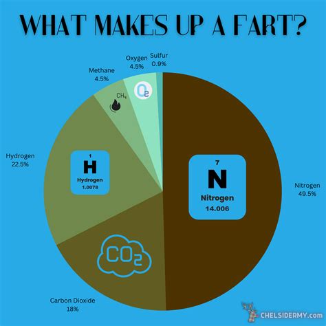 Why Do Farts Make Noise? - The Science Behind Flatulence — CHELSIDERMY ...