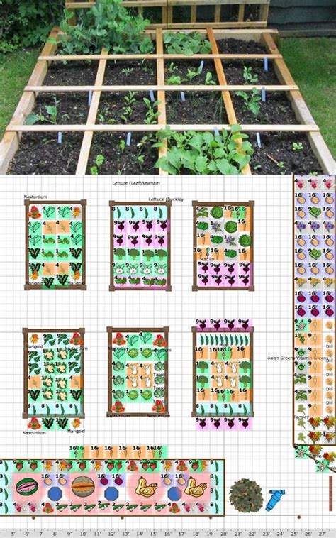 Vegetable Garden Layout Plans And Spacing App - gardenbz