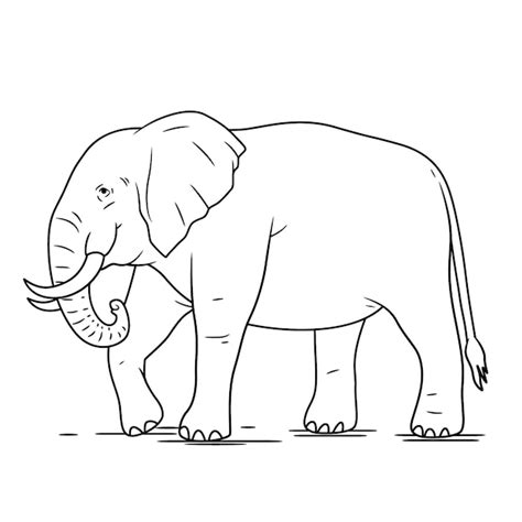 Free Vector | Hand drawn elephant outline