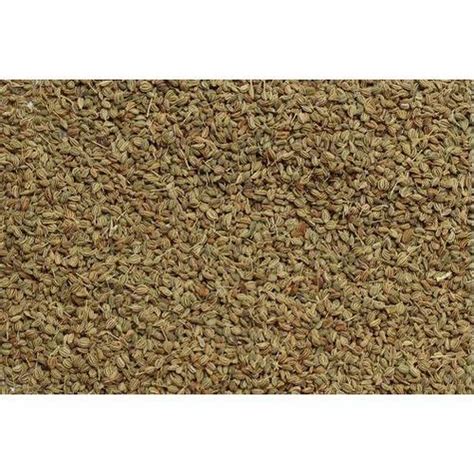 Ajwain Seeds, 1 Kg at Rs 340/kilogram in Hyderabad | ID: 19700505373