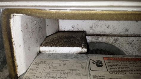 Is this mold in my AC? Should I be worried? : ToxicMoldExposure