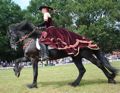 Ladies On Friesians 27 by ~ponystock on deviantART | Horse halloween ...