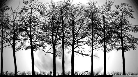 14 Forest Silhouette Tree Vector Images - Forest Tree Silhouette, Tree ...