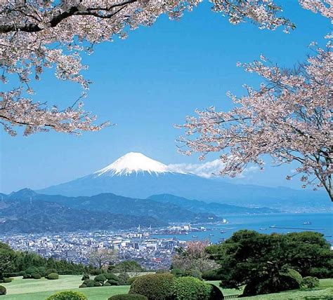 Mt. Fuji with Cherry blossoms, Tokyo | RITZ