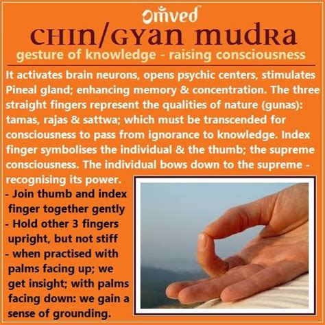 Kundalini Yoga, Pranayama, Reiki Healing, Energy Healing, Gyan Mudra ...