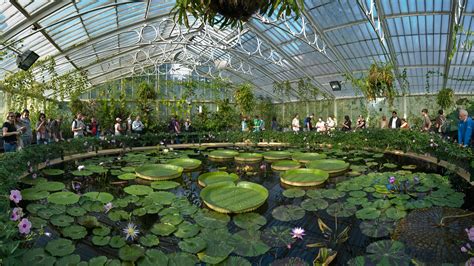 File:Kew Gardens Waterlily House - Sept 2008.jpg - Wikipedia