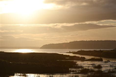 The Salish Sea — Pacific Whale Watch Association