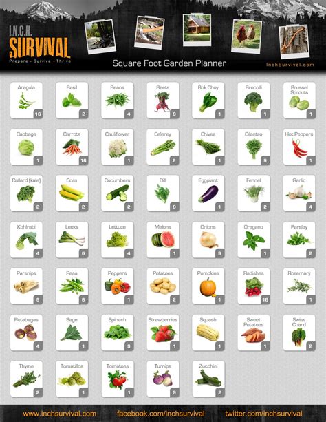 I.N.C.H. Survival | Square Foot Gardening Chart | Square foot gardening ...