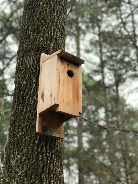 Brown Wooden Bird House Hanging on Tree · Free Stock Photo