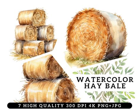 Hay Field Clipart