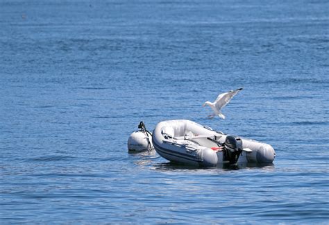 Best 6HP Outboard Motors That Will Make You Ready to Go - Boat Bub