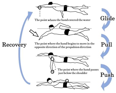 Relationship between Swimming Velocity and Trunk Twist Motion in Short ...