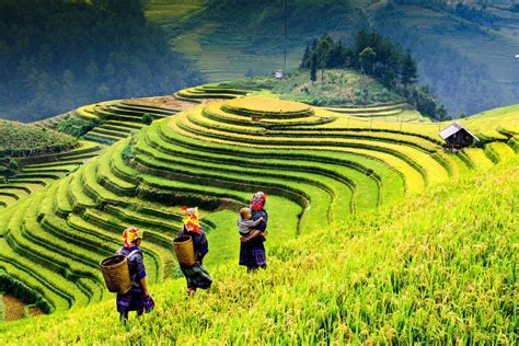 25 Best Things to Do in Sapa (Vietnam) - The Crazy Tourist