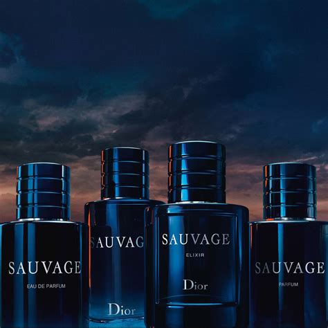 Sauvage Stick Deodorant DIOR ≡ SEPHORA