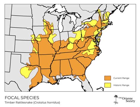 Understanding The Distribution Of Rattlesnakes: A Guide To Range Maps ...