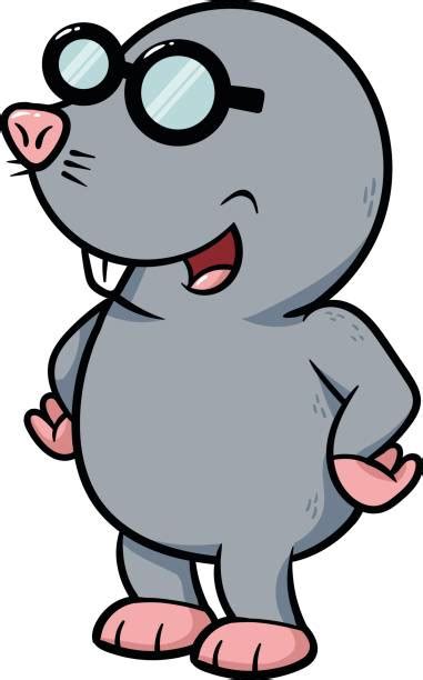 Royalty Free Possum Cartoon Animal Characters Clip Art, Vector Images ...