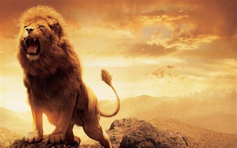 Lion Roaring Wallpapers - Wallpaper Cave