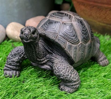 Buy Ebros Lifelike Galapagos Tortoise Statue 6.5" Wide Taxidermy ...