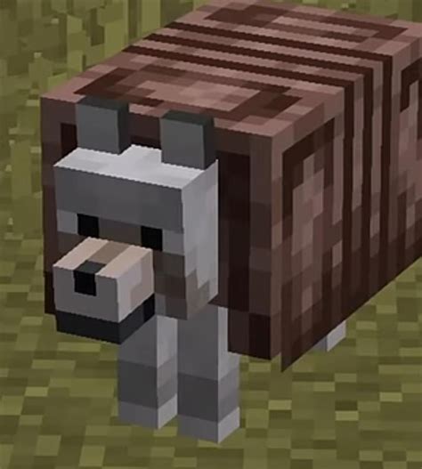 How "dog armor is ugly" mfs wanted the dog armor to look : r/Minecraft