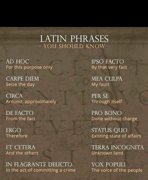 14 Common Latin Phrases That Everyone Should Know | Daily Infographic