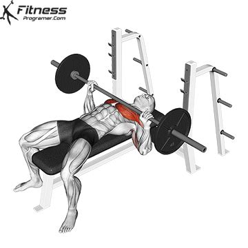 Barbell Bench Press Overview | Muscles Worked And Benefits