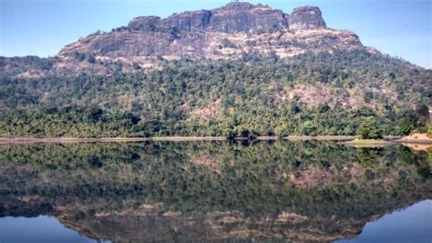 THE 10 BEST Things to Do in Palghar - 2020 (with Photos) - Tripadvisor