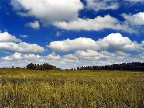 Convective Clouds – WeatherTogether