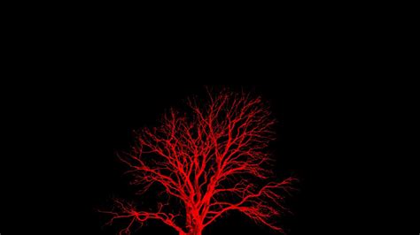 Red and Black Tree Wallpapers - Top Free Red and Black Tree Backgrounds ...