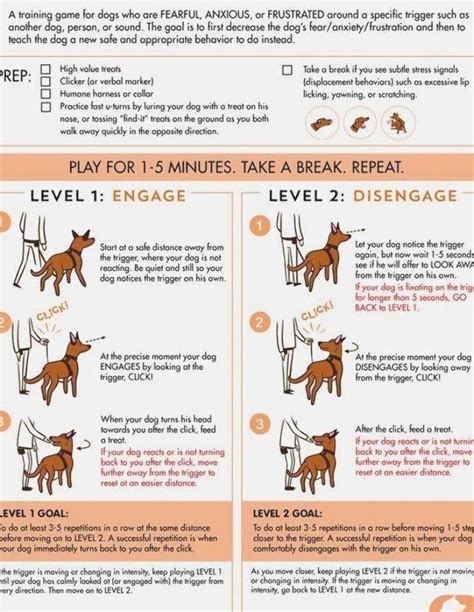 What Are Basic Dog Obedience Commands