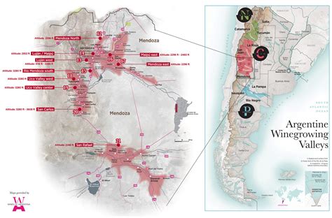 Mastering Mendoza Malbec | Wine Folly