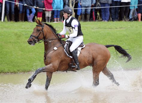 EV Breeding: Three Irish Sport Horses in Top 10 at Pau CCI4* - Horse ...