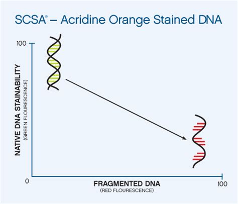 SCSA Diagnostics: DFI Research