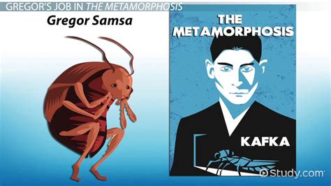 The Metamorphosis: Quotes About Work & Gregor's Job - Lesson | Study.com