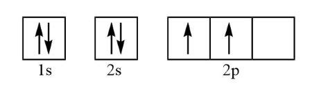 What is the orbital diagram for the ground state carbon atom? Explain ...