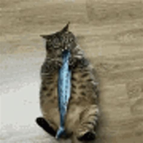 Cat Fat Cat GIF - Cat FatCat EatingFish - Discover & Share GIFs