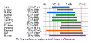 Structure Of Human Ear & Hearing Range of Humans