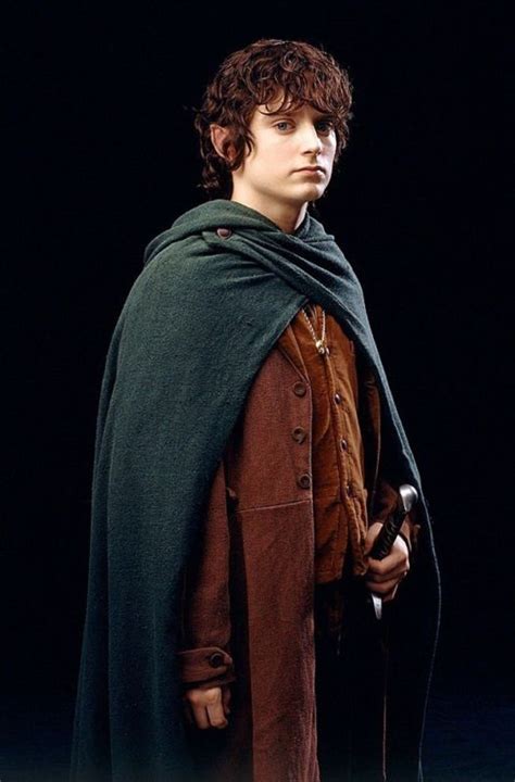 Frodo Baggins Character Profile