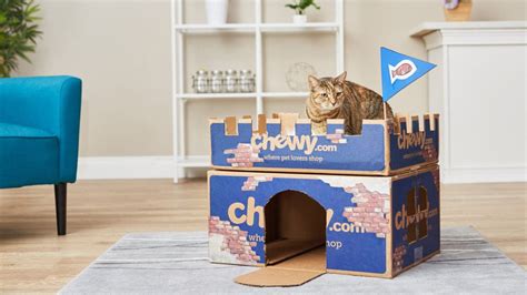 Chewy Box Craft: DIY Cat House Cat Furniture Castle Craft | BeChewy