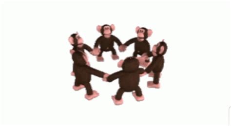 Monkey Circle GIF - Monkey Circle MonkeyCircle - Discover & Share GIFs