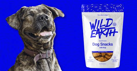 Wild Earth's Koji-Based, Meat-Free Dog Food Now Available at Walmart ...