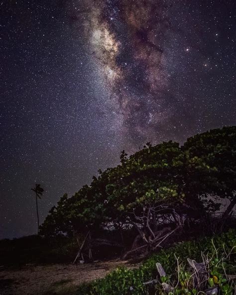 Guánica Dry Forest, Puerto Rico. #milkywaychasers | Guanica, Enchanted ...