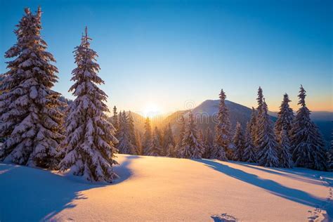 Magic Sunrise in the Winter Mountains after Snowfall Stock Image ...