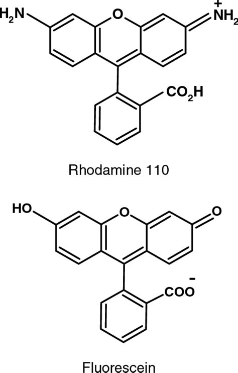 Molecular structures of the probes used in the study. | Download ...