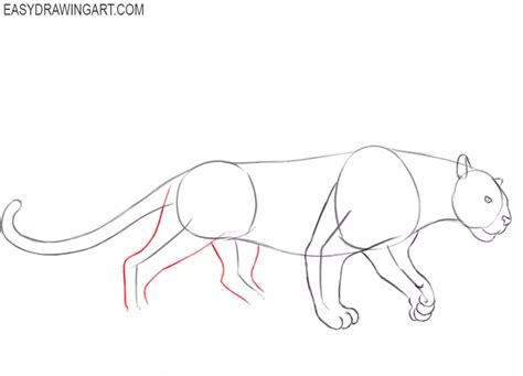 Panther Drawing Outline