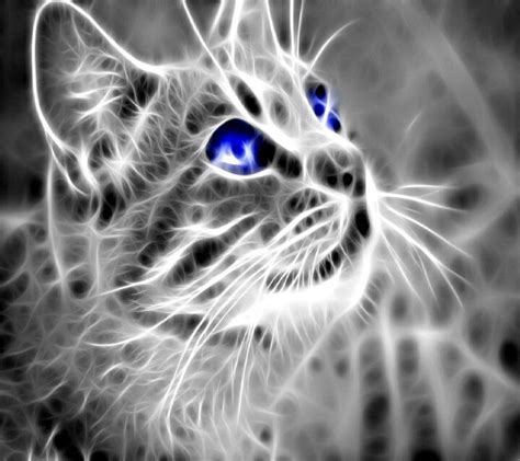 Mystical Animals, Magic Cat, Animals Bugs, Cat Wallpaper, Fractal Art ...