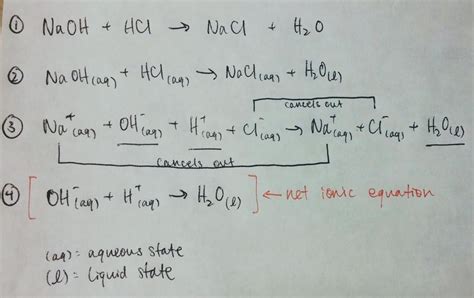 Net Ionic Equations HCl(aq) + NaOH(aq) NaCl(aq) + H 2 O(l) What really ...