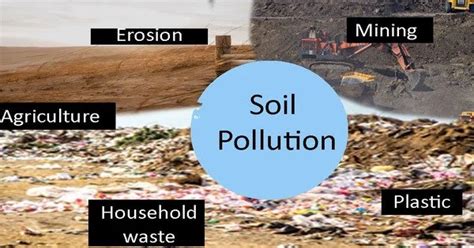 Soil Contamination - Assignment Point