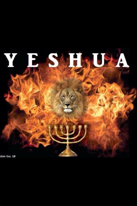 Yeshua! | Lion of judah jesus, Lion of judah, Tribe of judah